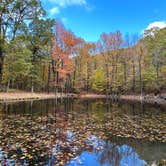 Review photo of Mount Nebo State Park Campground by Chris D., July 15, 2023