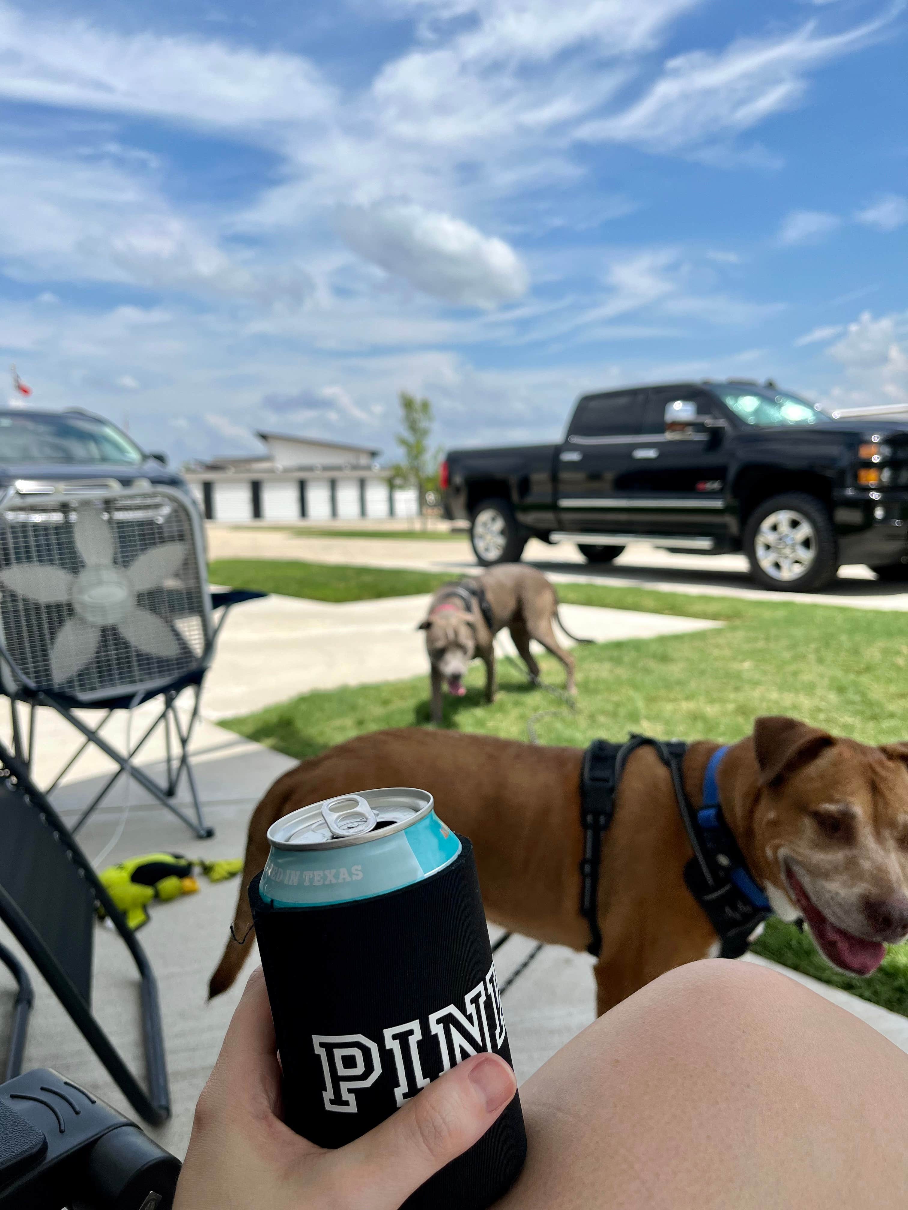 Alex & Aly D.'s photo of camping with pets at Jetstream RV Resort at Waller near Rosenberg, TX