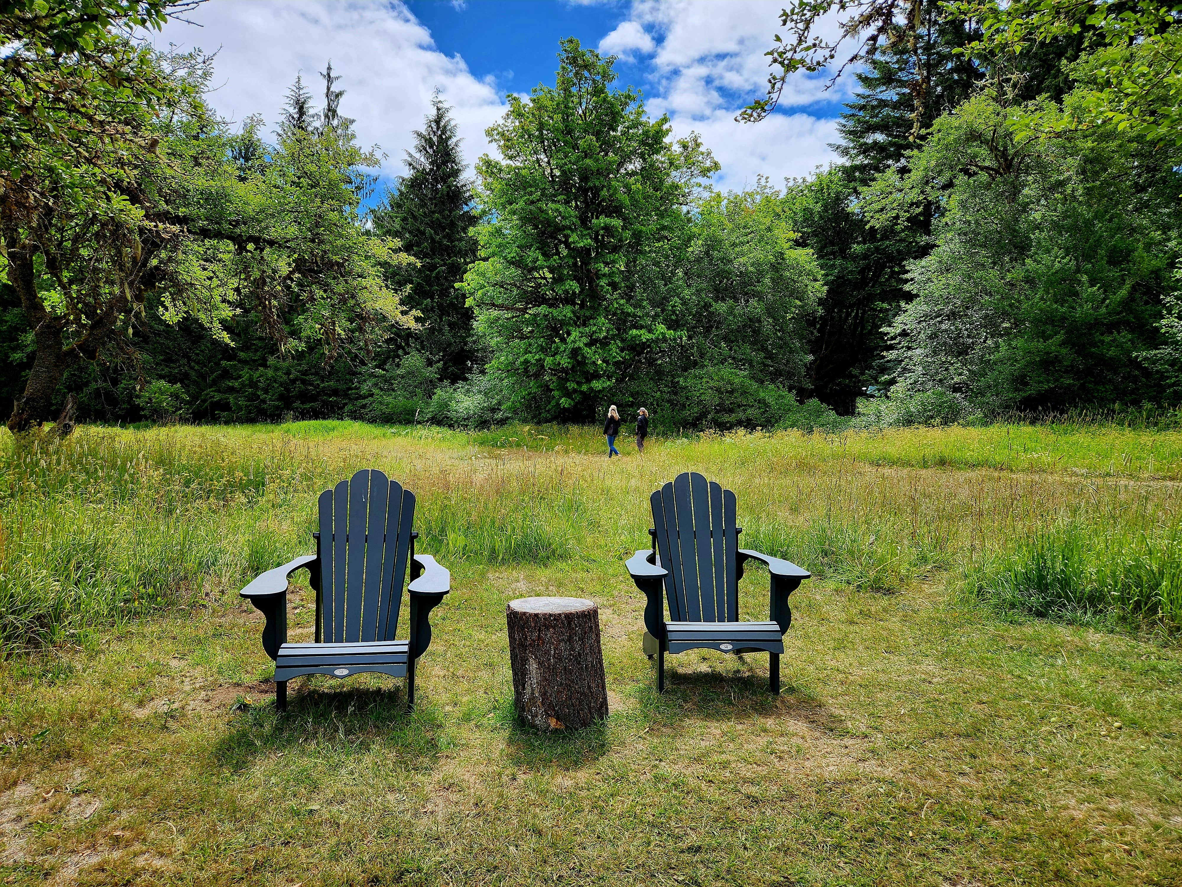 Camper-submitted photo at Elkamp Eastcreek near Orting, WA
