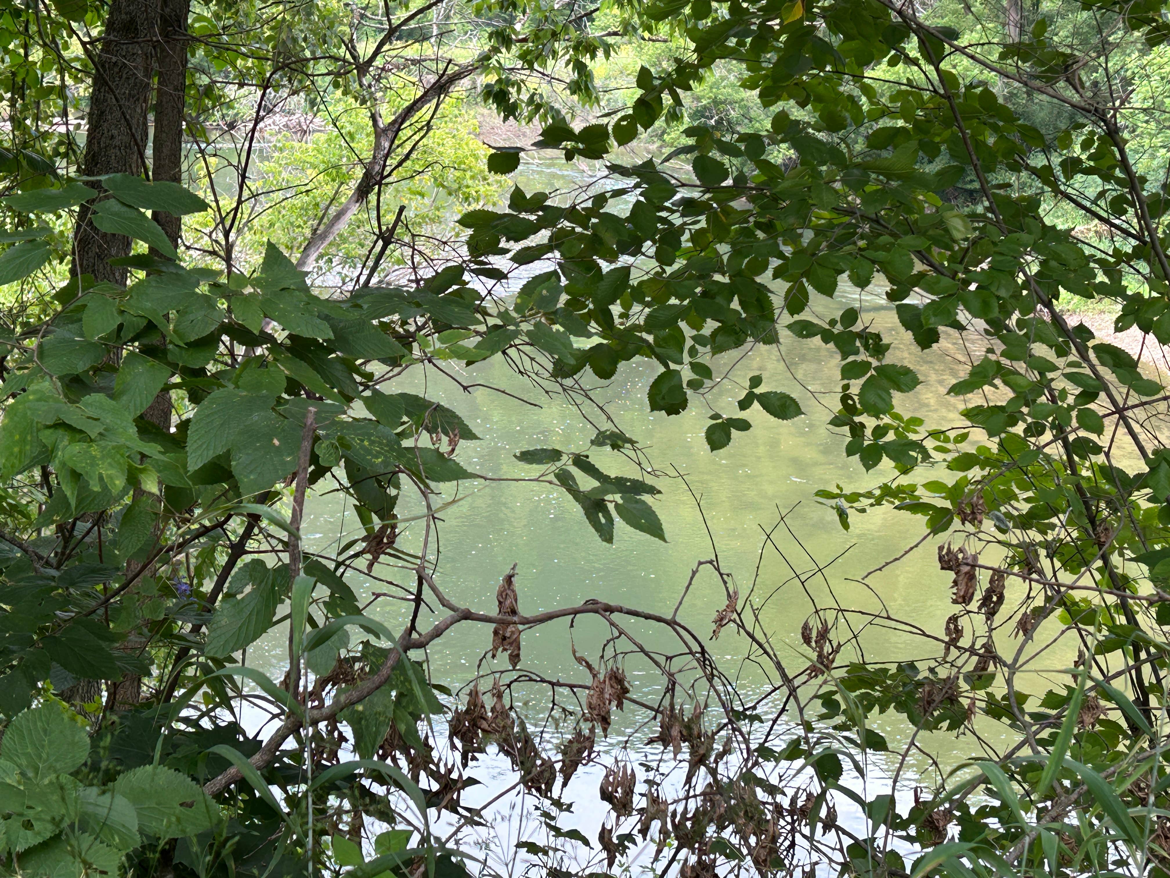 Camper-submitted photo at Peterson City RV Park near La Crosse, WI