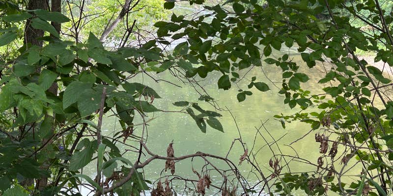 Camper submitted image from Peterson City RV Park