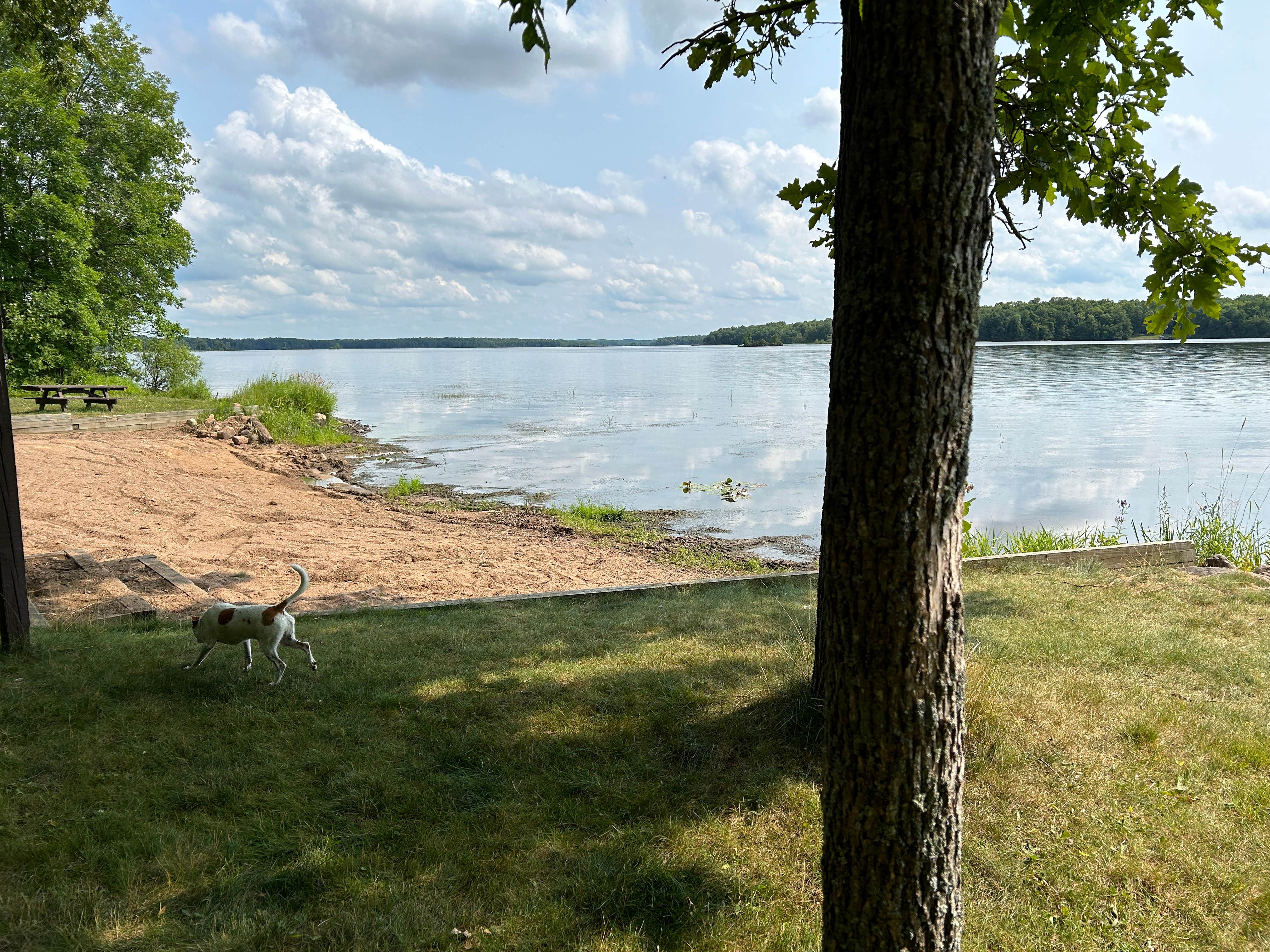 Amy E.'s photo of camping with pets at Chippewa near Merrill, WI