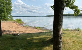 Amy E.'s photo of camping with pets at Chippewa near Altoona, WI