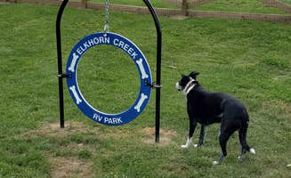 Matthew A.'s photo of camping with pets at Elkhorn Campground near Lexington, KY