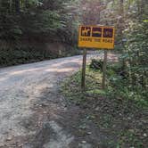 Review photo of Long Hungry Road Dispersed Campsites by Steve K., July 16, 2023