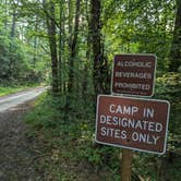 Review photo of Long Hungry Road Dispersed Campsites by Steve K., July 16, 2023