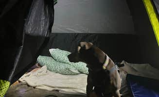 Abby H.'s photo at Campground at James Island County Park near Charleston, SC