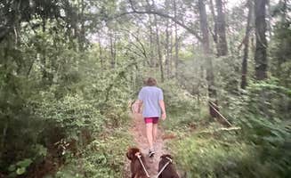 Abby H.'s photo of camping with pets at Campground at James Island County Park near Ridgeville, SC
