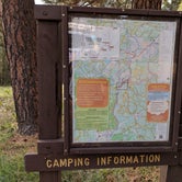 Review photo of Pumphouse Wash (FR 237) Dispersed Camping Area by Ashley C., October 23, 2018