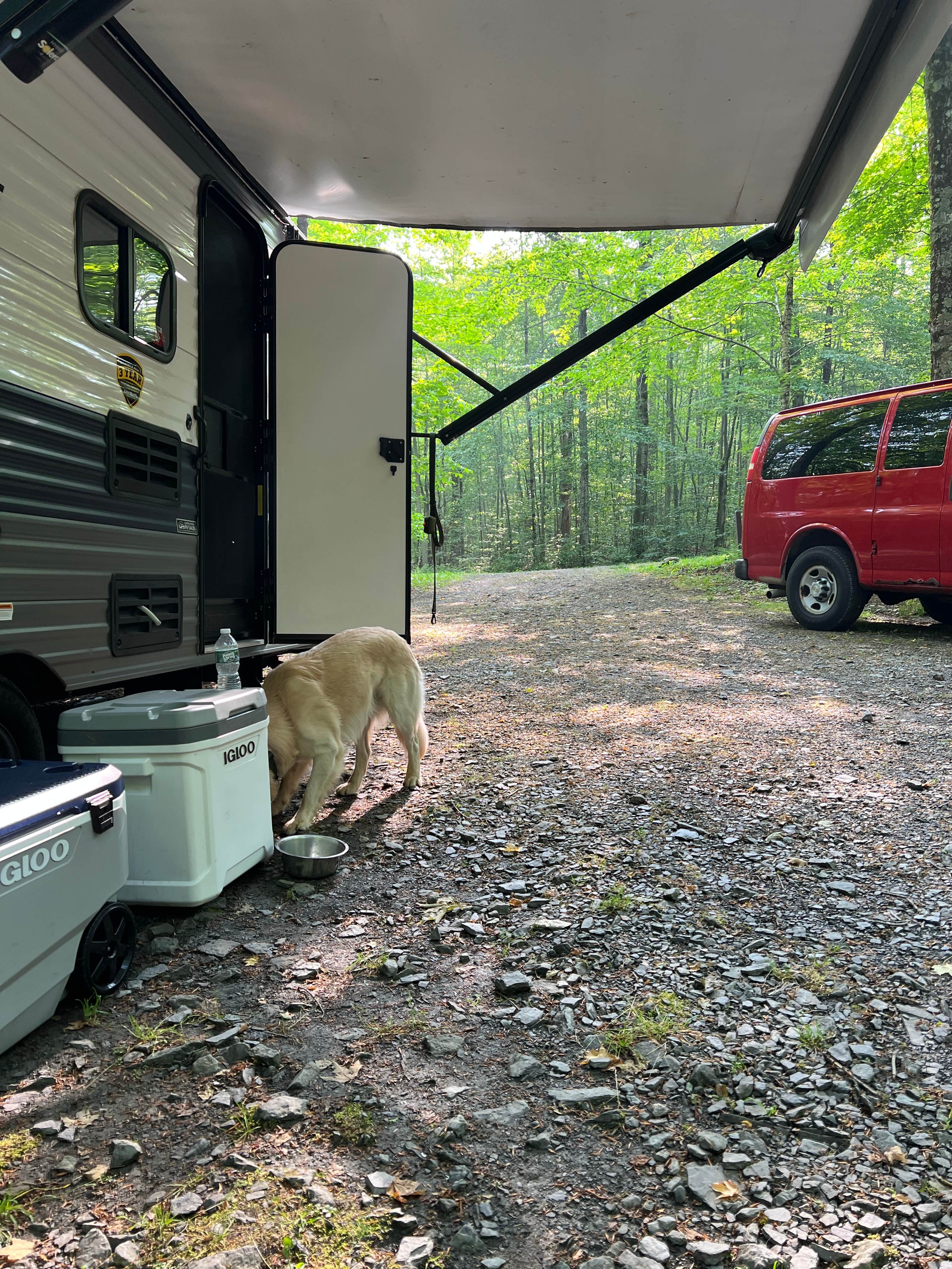 Oleńka S.'s photo of rv camping at Bowman Lake State Park Campground near Newark Valley, NY