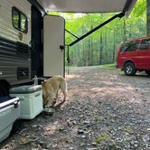 Review photo of Bowman Lake State Park Campground by Oleńka S., July 16, 2023