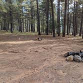 Review photo of Pumphouse Wash (FR 237) Dispersed Camping Area by Ashley C., October 23, 2018