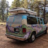 Review photo of Pumphouse Wash (FR 237) Dispersed Camping Area by Ashley C., October 23, 2018