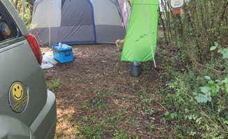 Valerie S.'s photo of camping with pets at Tomahawk Campground near Birmingham, AL