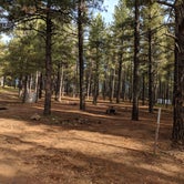 Review photo of Pumphouse Wash (FR 237) Dispersed Camping Area by Ashley C., October 23, 2018