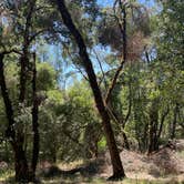 Review photo of BLM Sheldon Creek by kenny T., July 9, 2023