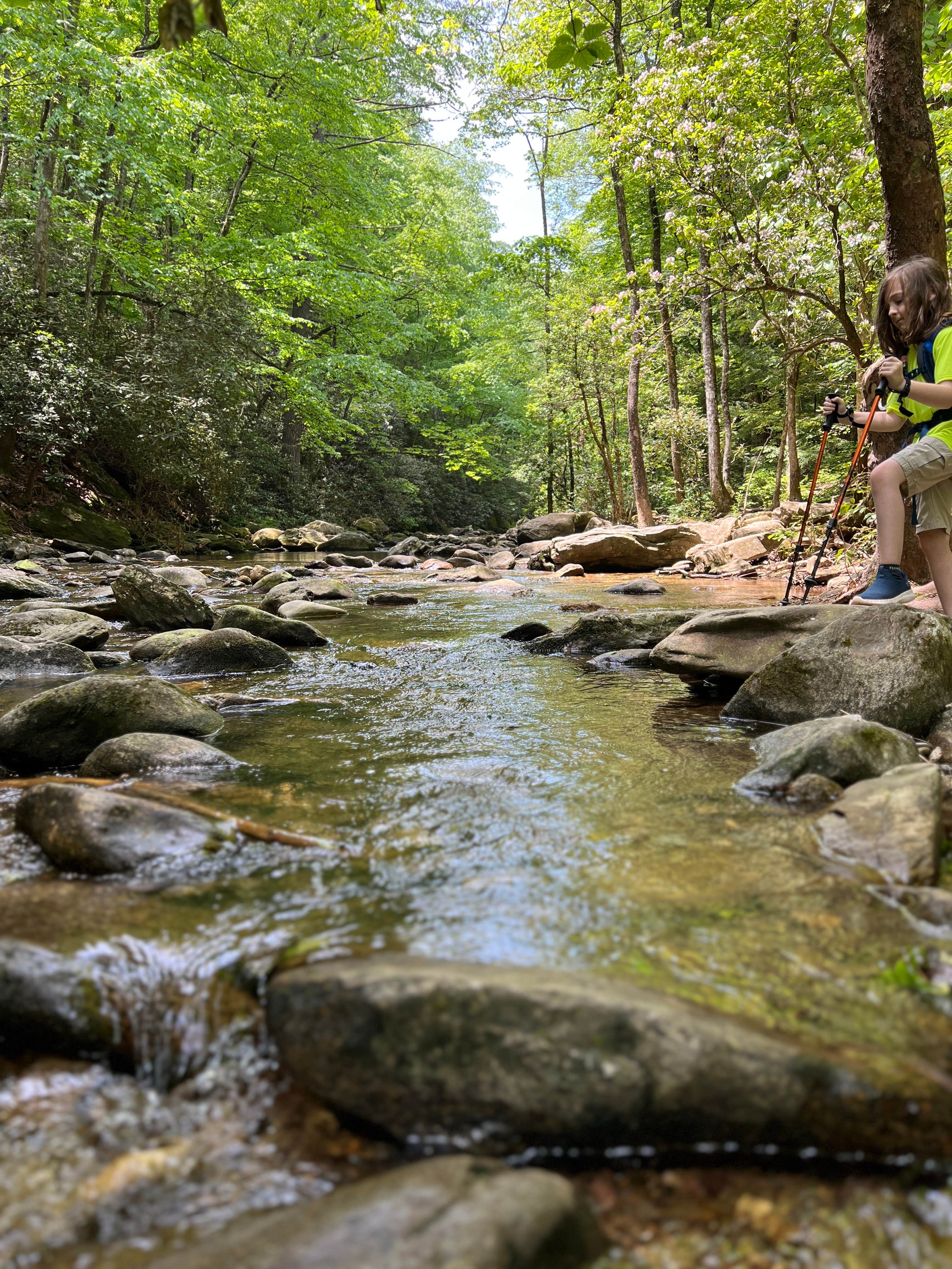 Camper-submitted photo at Little River Backcountry Campground — South Mountains State Park near Connelly Springs, NC
