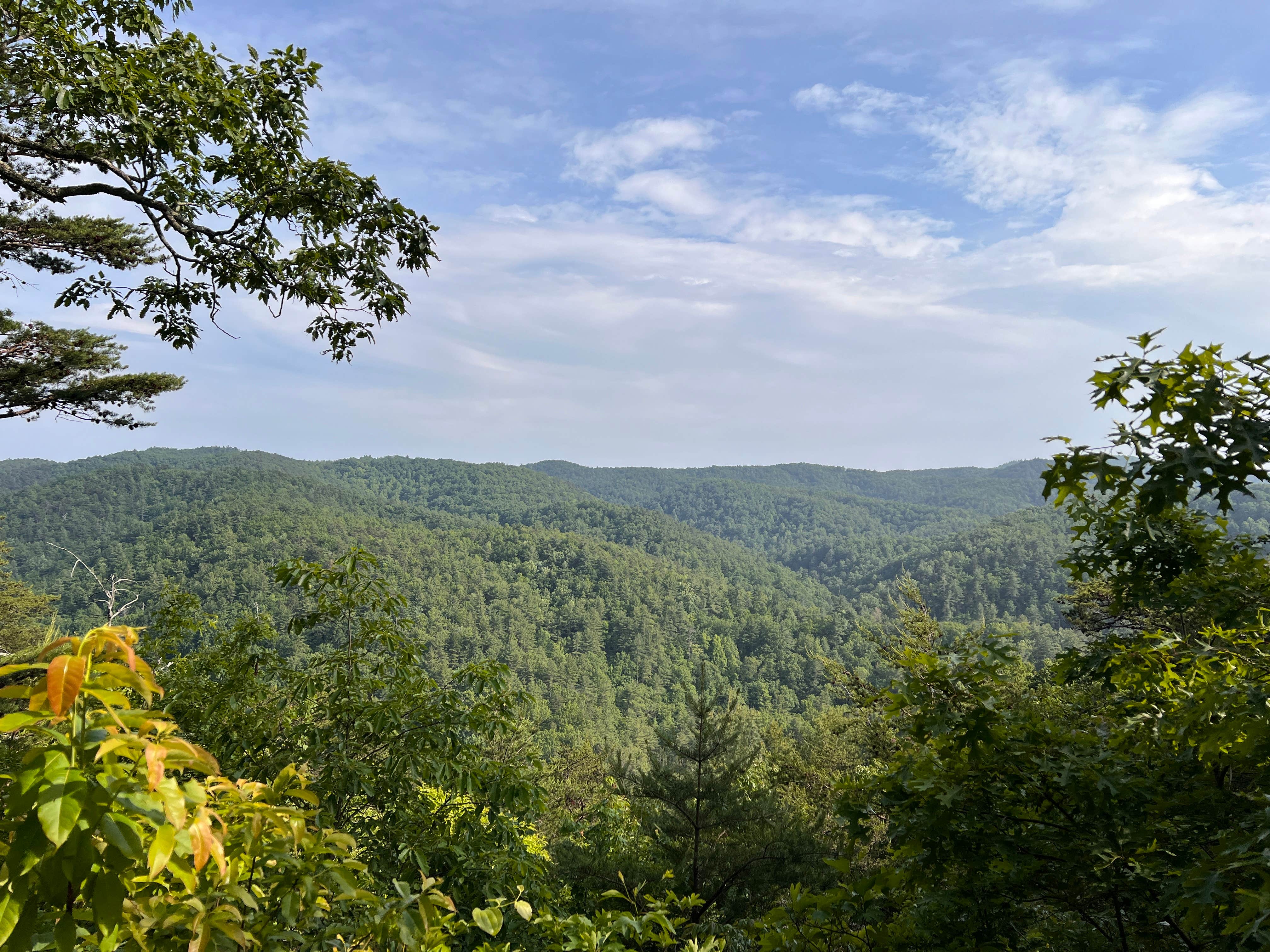 Camper-submitted photo at Little River Backcountry Campground — South Mountains State Park near Connelly Springs, NC