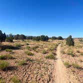 Review photo of Bitter Creek Overlook Camping Area by Sidney A., July 16, 2023