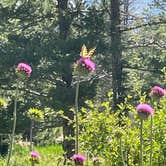 Review photo of Winiger Ridge at Gross Reservoir by Crystal D., July 16, 2023