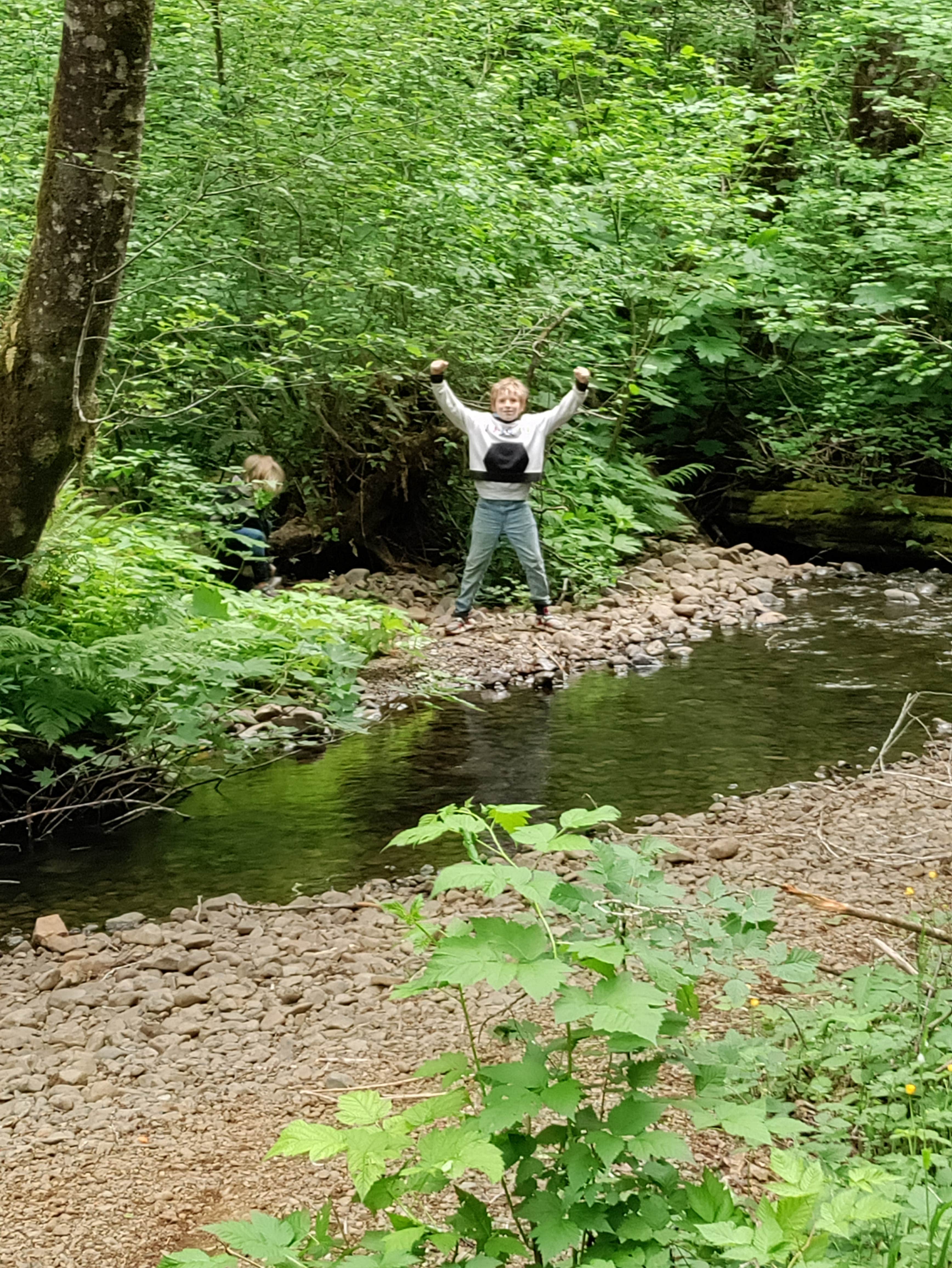 Camper-submitted photo at Fall Creek Campground near Rochester, WA