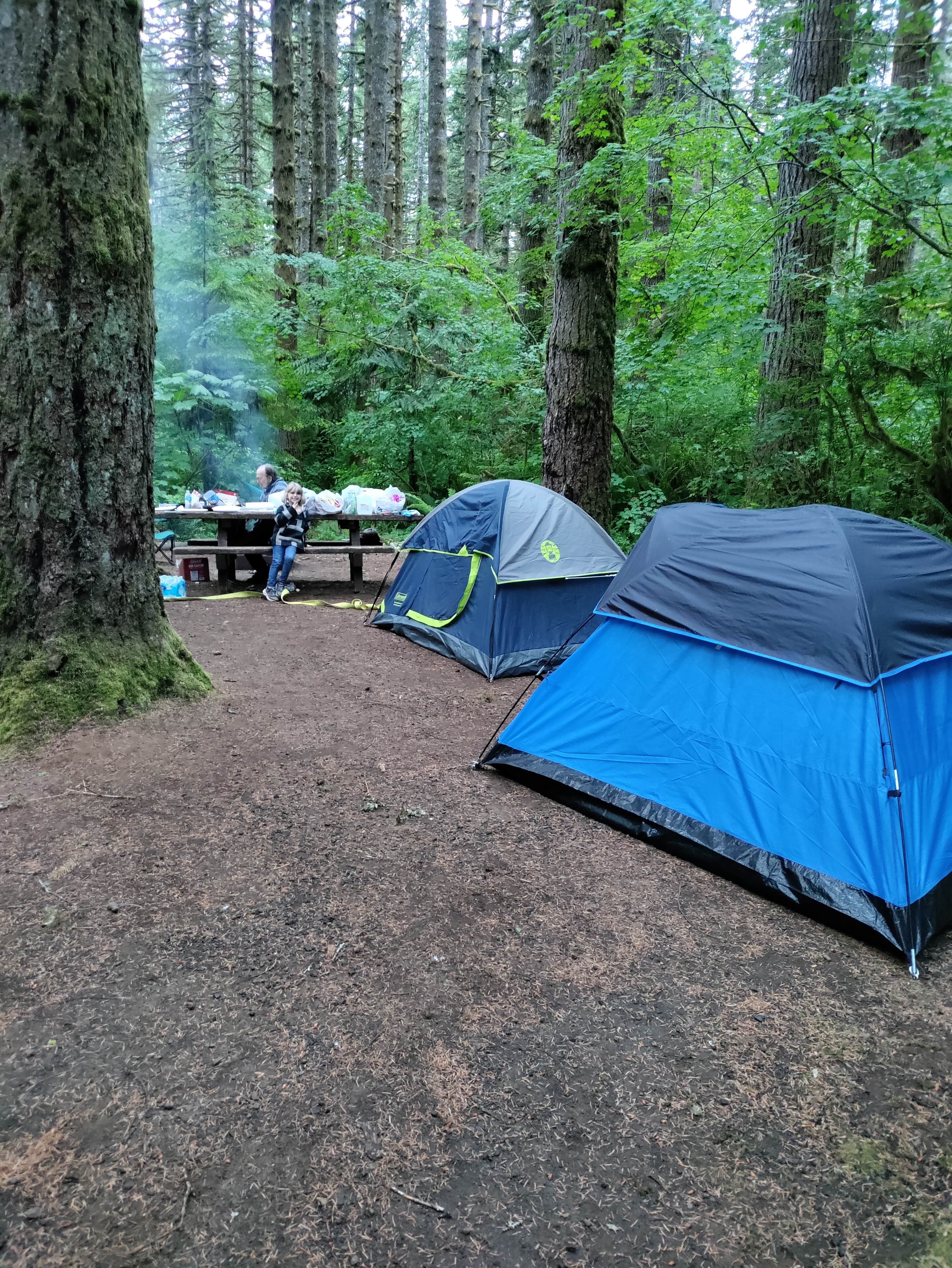 Camper-submitted photo at Fall Creek Campground near Rochester, WA