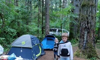 Camping near Camp Thunderbird: Fall Creek Campground, Littlerock, Washington
