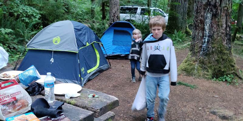 Camper submitted image from Fall Creek Campground