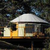 Review photo of Big Arm State Unit — Flathead Lake State Park by Kent B., August 22, 2016
