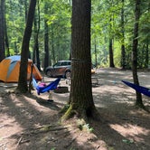 Review photo of Cataloochee Campground — Great Smoky Mountains National Park by Glacia C., July 16, 2023
