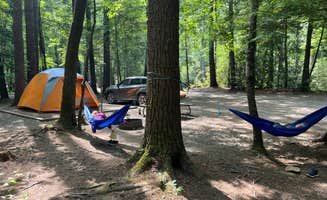 Glacia C.'s photo at Cataloochee Campground — Great Smoky Mountains National Park near Maggie Valley, NC