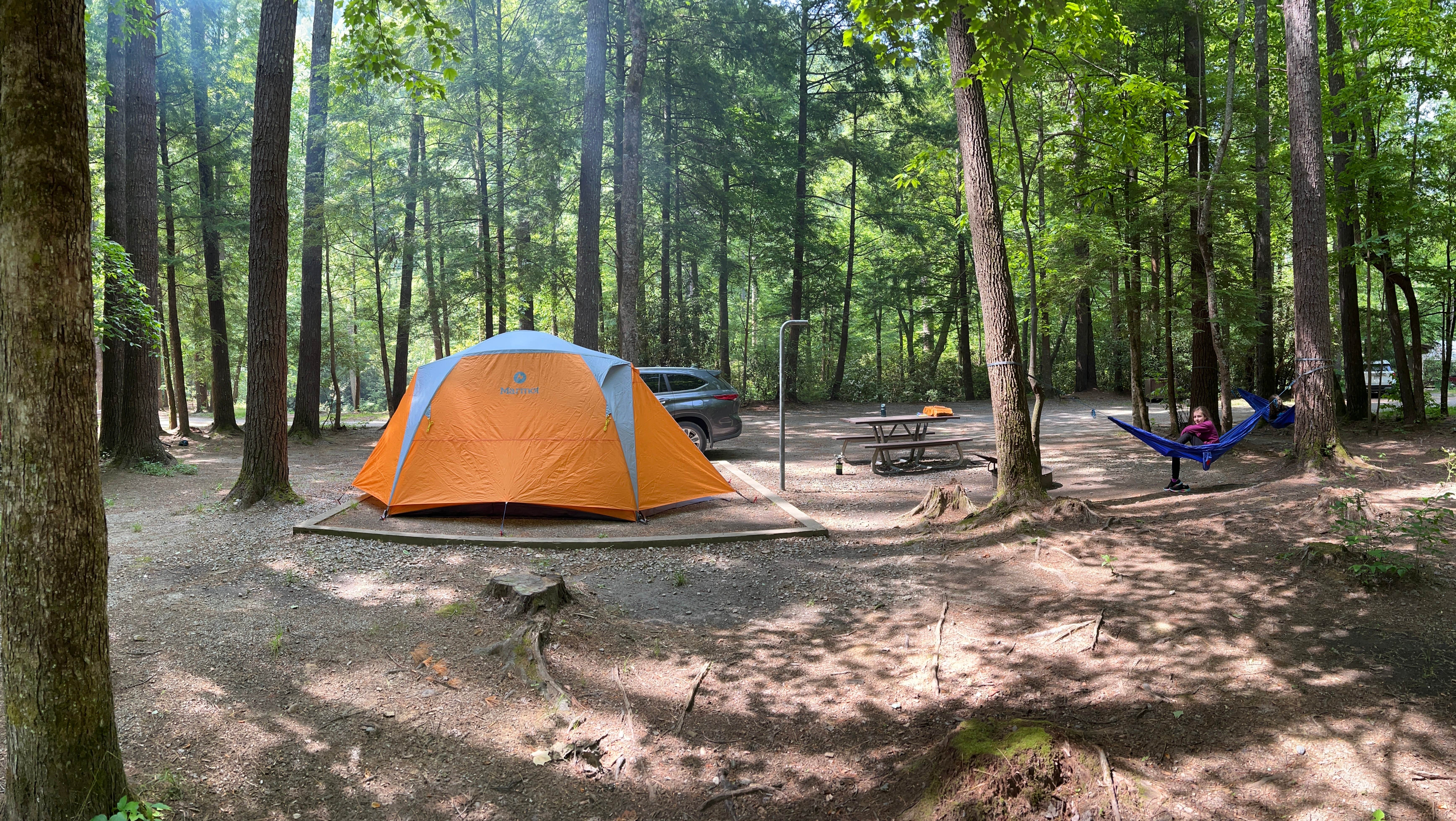 Glacia C.'s photo at Cataloochee Campground — Great Smoky Mountains National Park near Maggie Valley, NC