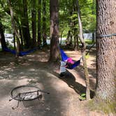 Review photo of Cataloochee Campground — Great Smoky Mountains National Park by Glacia C., July 16, 2023