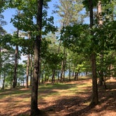 Review photo of Elijah Clark State Park Campground by Glacia C., July 16, 2023