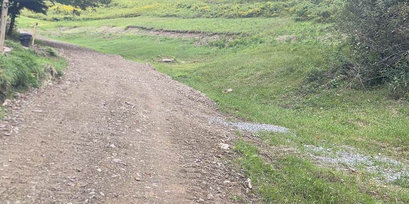 Camper submitted image from Two Sisters Campground