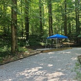 Review photo of Vogel State Park Campground by Katrin M., July 16, 2023