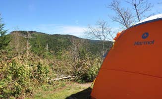 Glacia C.'s photo at Mount Mitchell State Park Campground near Montreat, NC