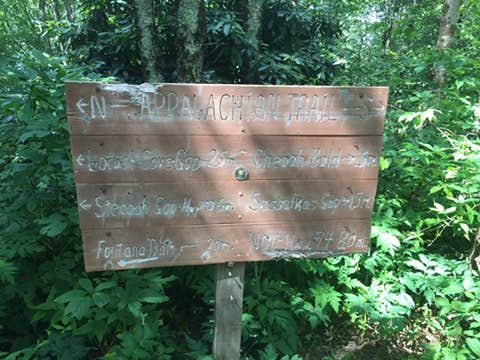 Camper-submitted photo at Bartram Trail Backcountry near Bryson City, NC