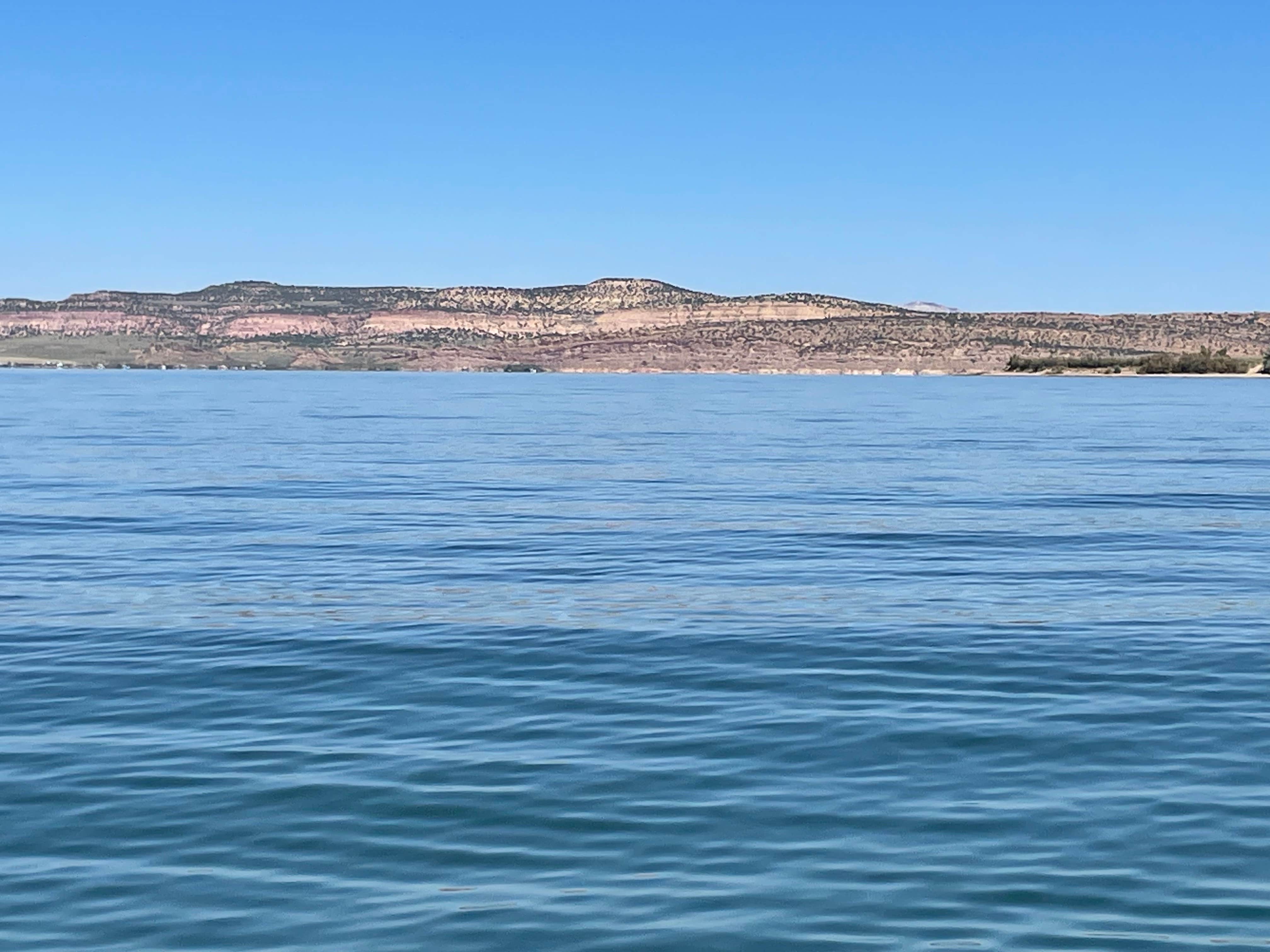 Teresa S.'s photo of a dispersed camping area at Spring Creek Road Dispersed - Flaming Gorge near Lonetree, WY