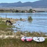 Review photo of Spring Creek Road Dispersed - Flaming Gorge by Teresa S., July 16, 2023