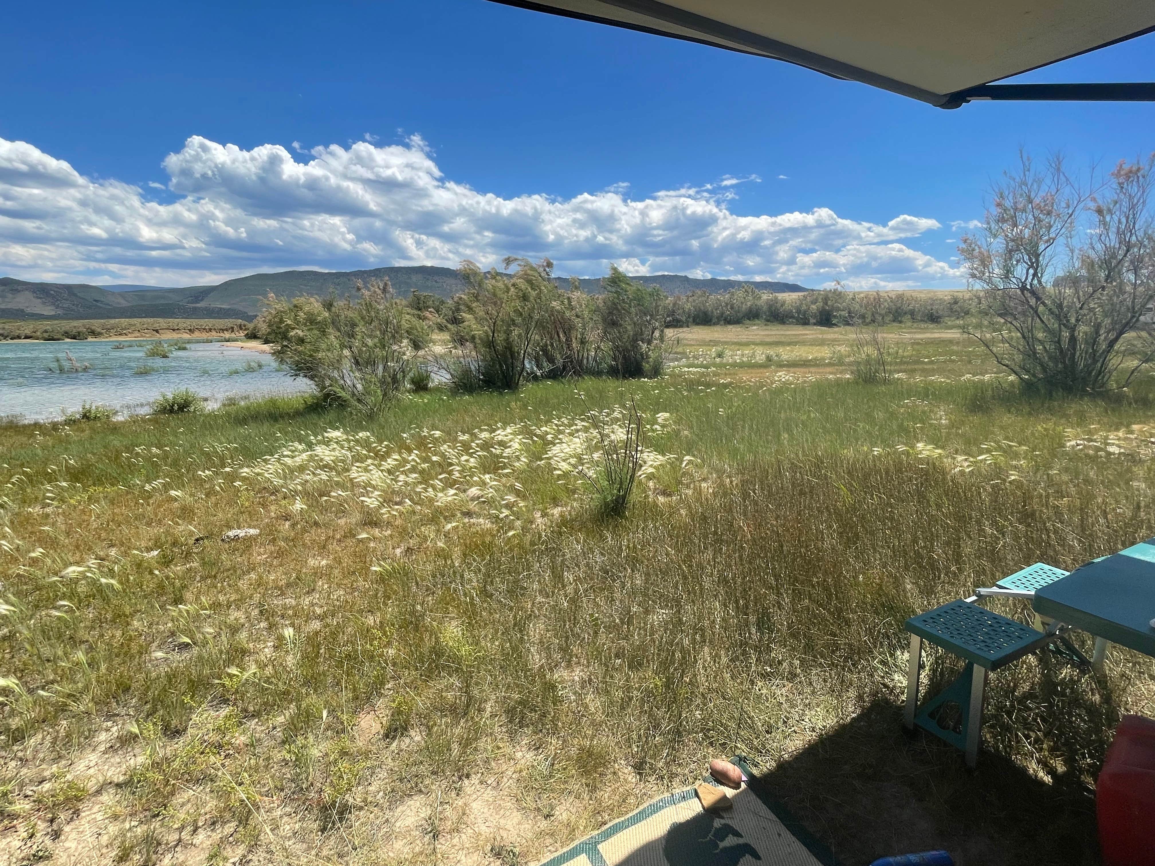 Camper submitted image from Spring Creek Road Dispersed - Flaming Gorge - 3