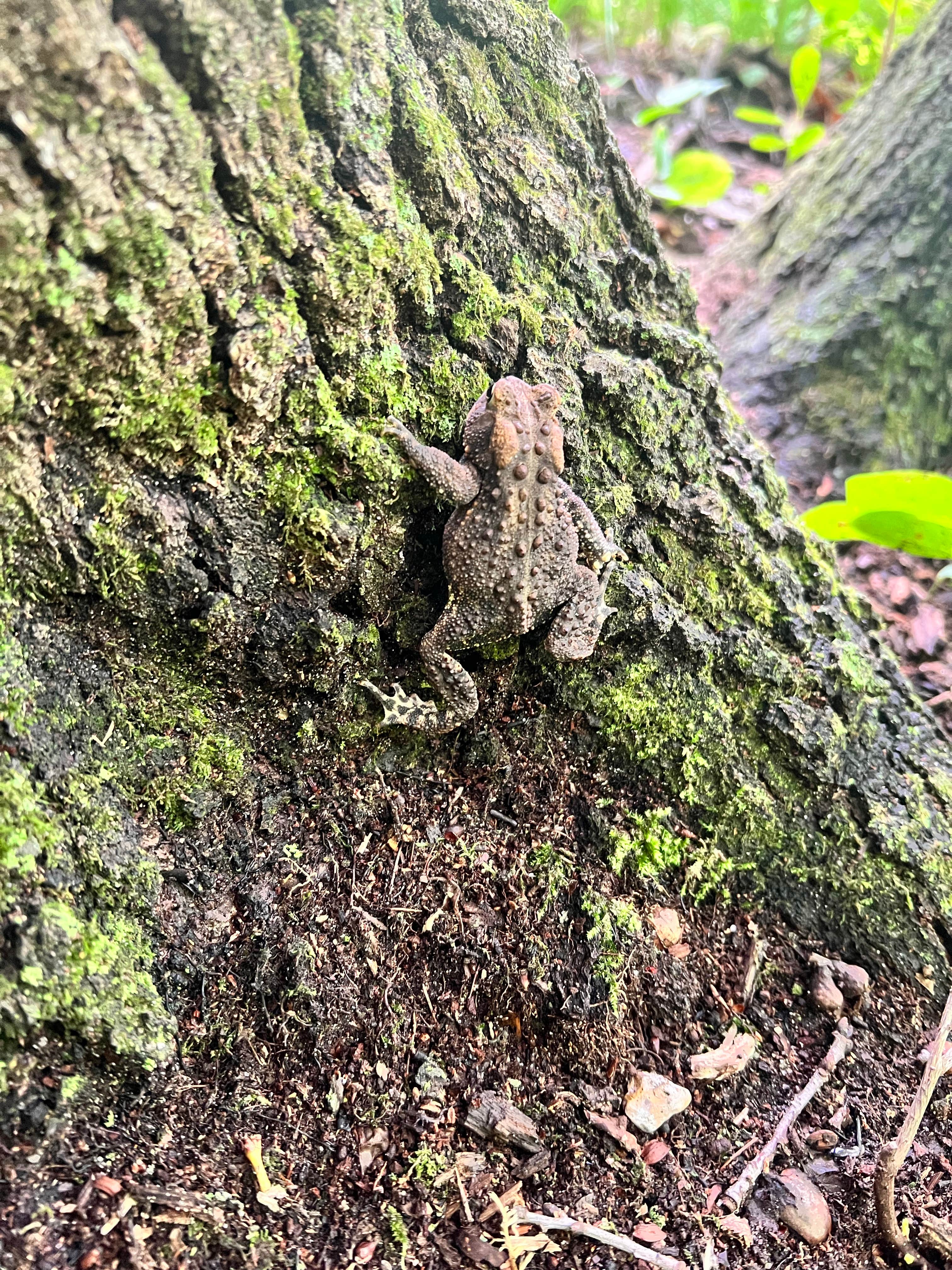 Camper-submitted photo at Brighton Recreation Area near Dearborn, MI