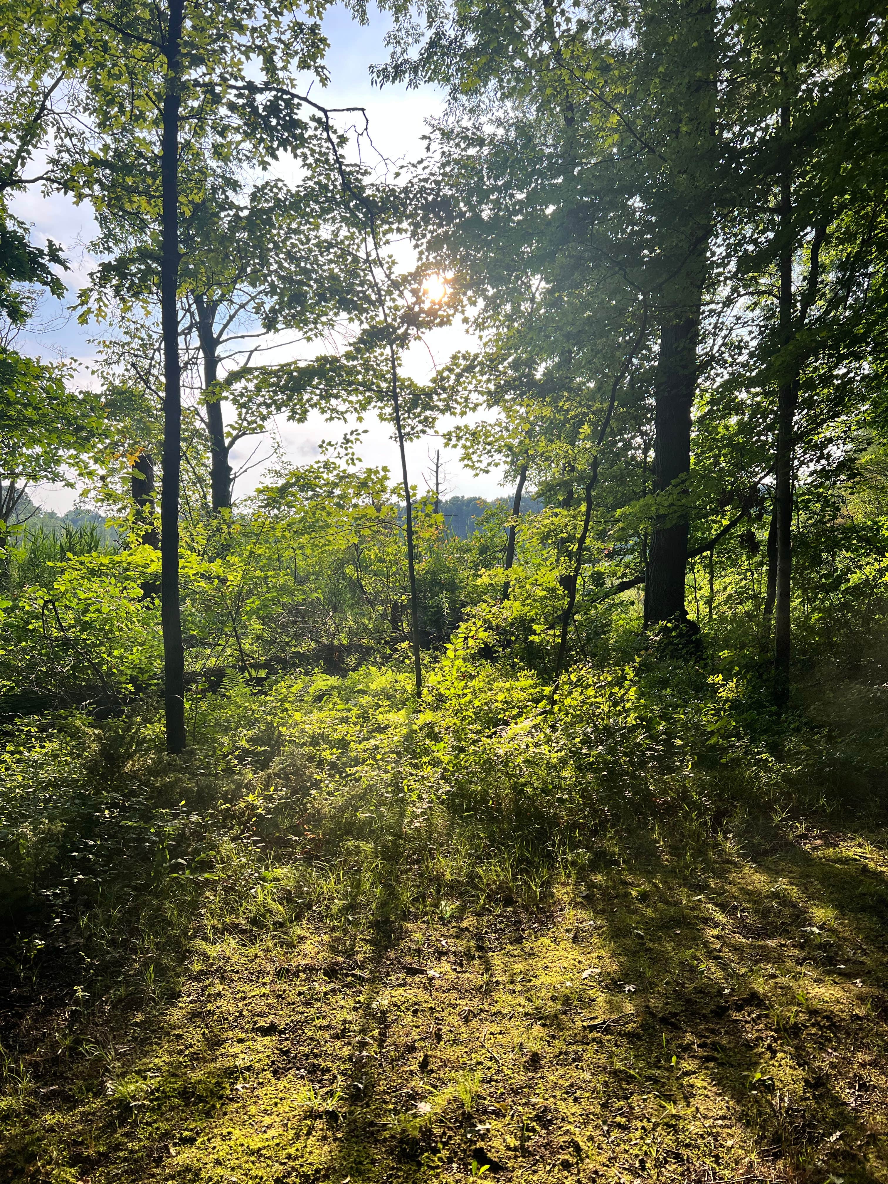 Camper-submitted photo at Brighton Recreation Area near Dearborn, MI