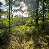 Review photo of Brighton Recreation Area by Rebecca M., July 16, 2023