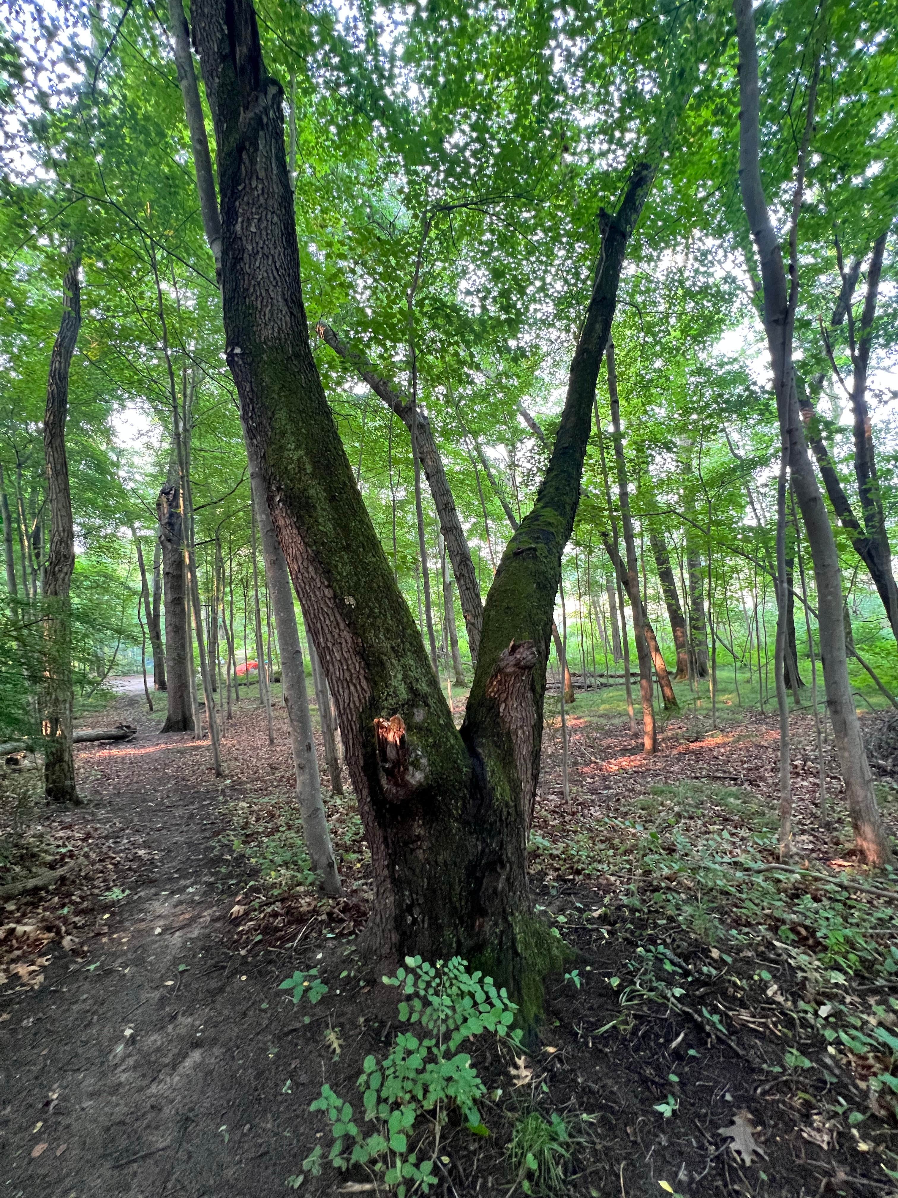 Camper-submitted photo at Brighton Recreation Area near Dearborn, MI