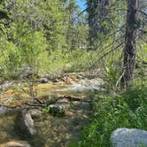 Review photo of Upper Stony Creek Campground — Sequoia National Forest by Rachel V., July 16, 2023