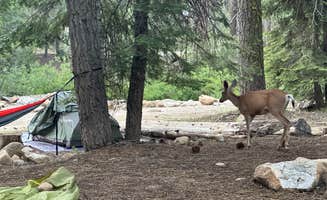 Rachel V.'s photo at Upper Stony Creek Campground — Sequoia National Forest near Sequoia & Kings Canyon National Parks