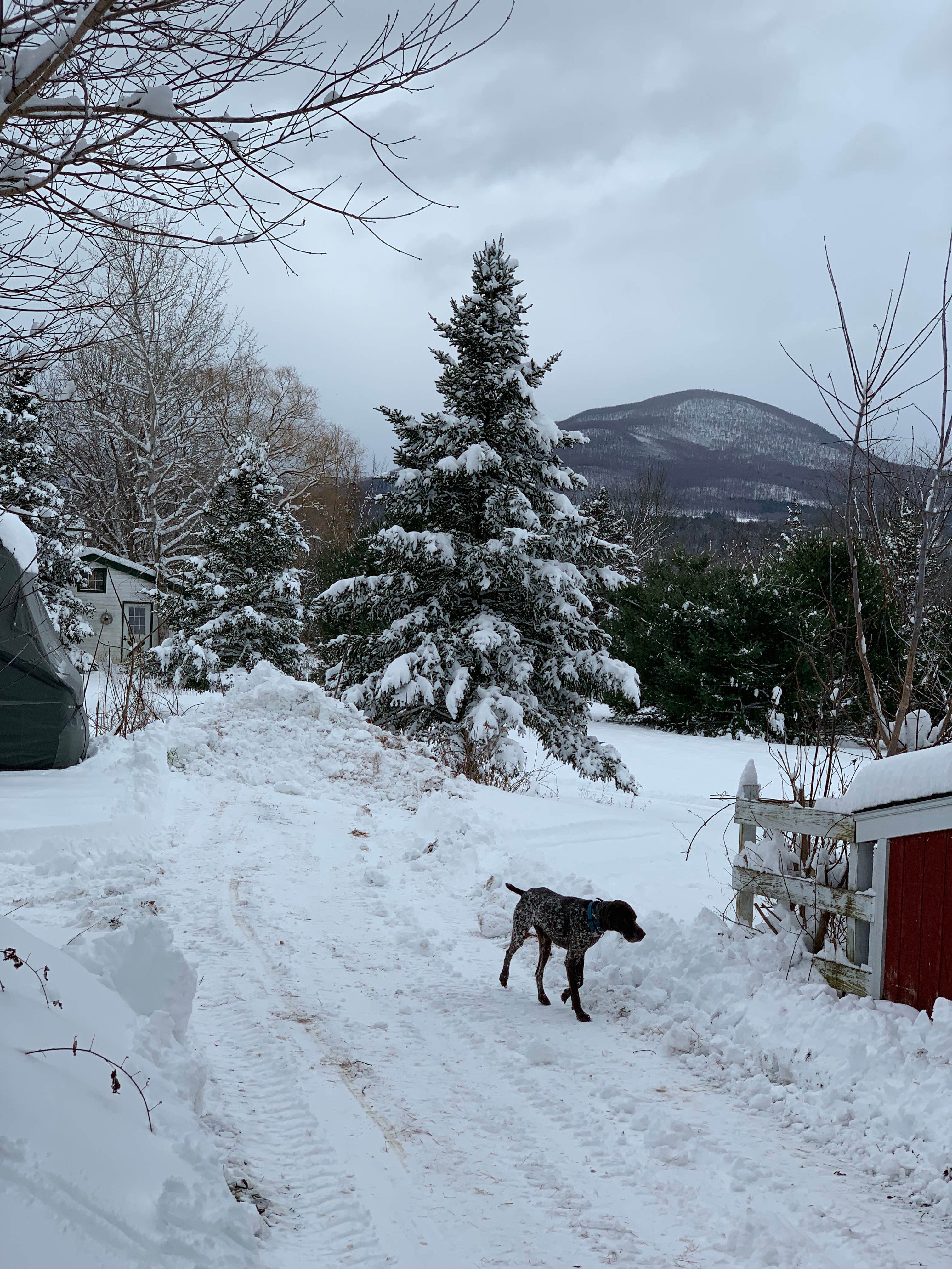 Camper-submitted photo at Krawczyk Farm near North Bennington, VT