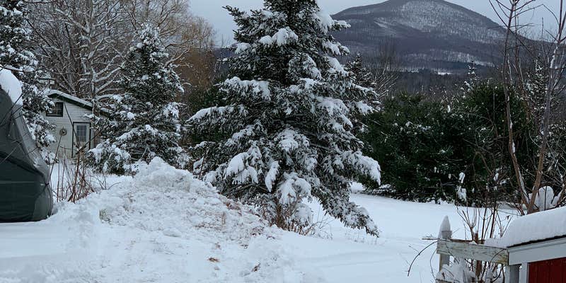 Camper submitted image from Krawczyk Farm