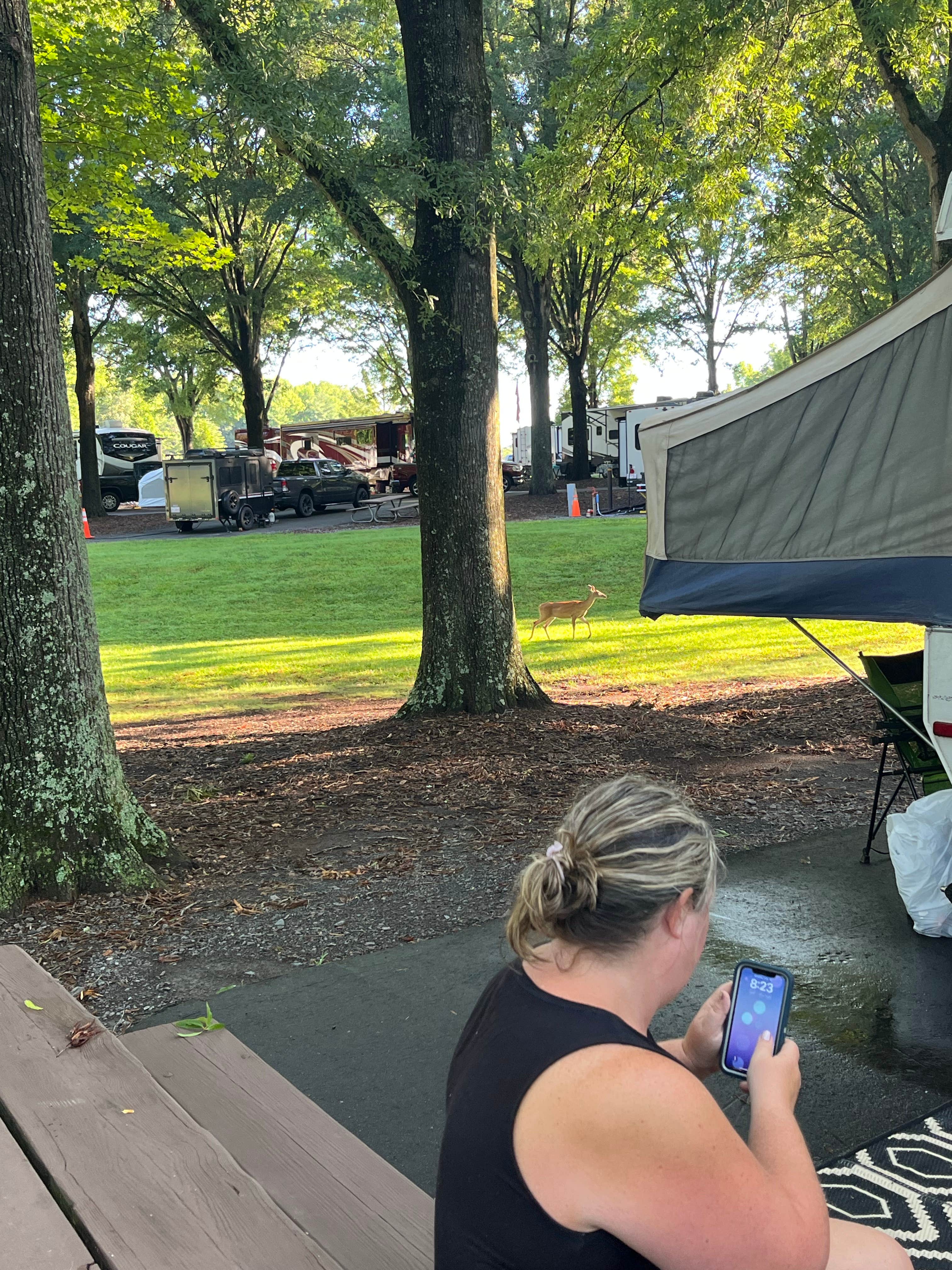 Camper submitted image from Tanglewood Park - 5